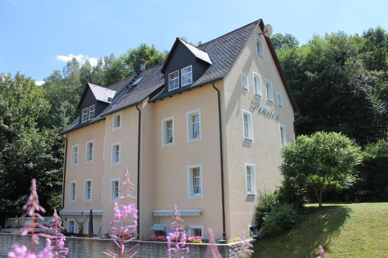 Appartements Im "Landhaus Am Frohnauer Hammer" Annaberg-Buchholz Exteriér fotografie