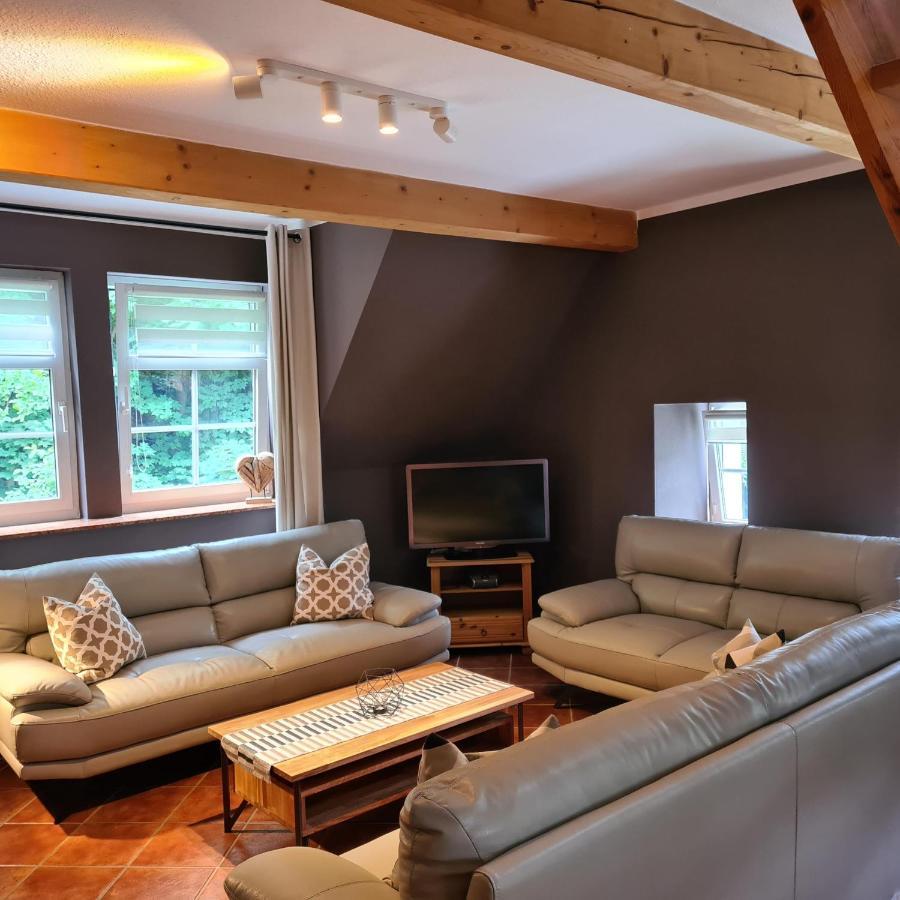 Appartements Im "Landhaus Am Frohnauer Hammer" Annaberg-Buchholz Exteriér fotografie